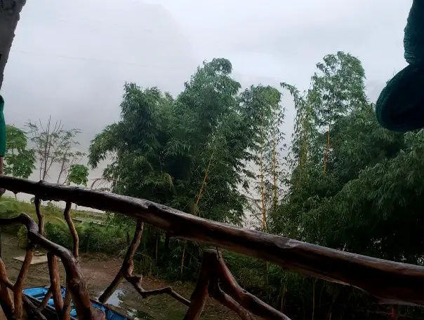 view from balcony of trees and river in Bolivia
