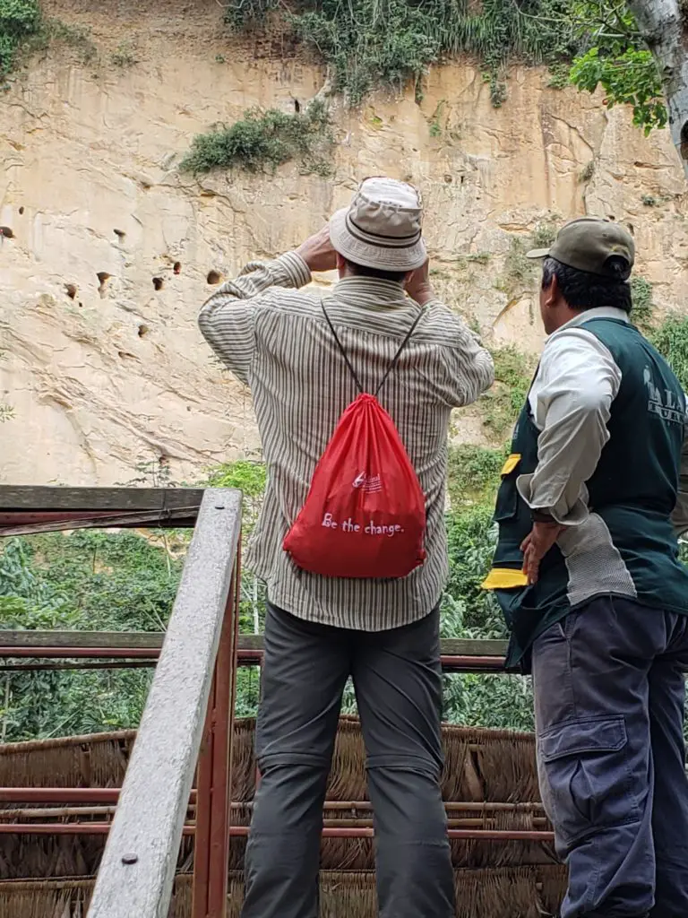 viewing platform for macaws