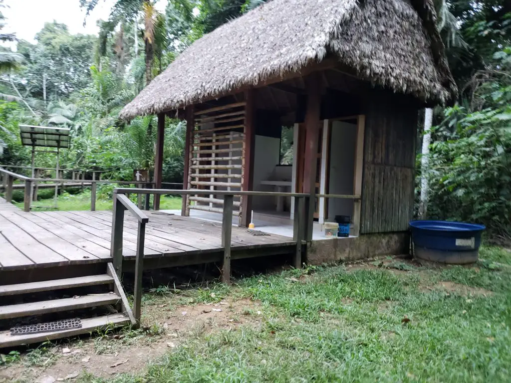 Monkeys, Macaws... and ANTS! oh my! - Amazon Rainforest Trekking Adventures 22 20190603 171548