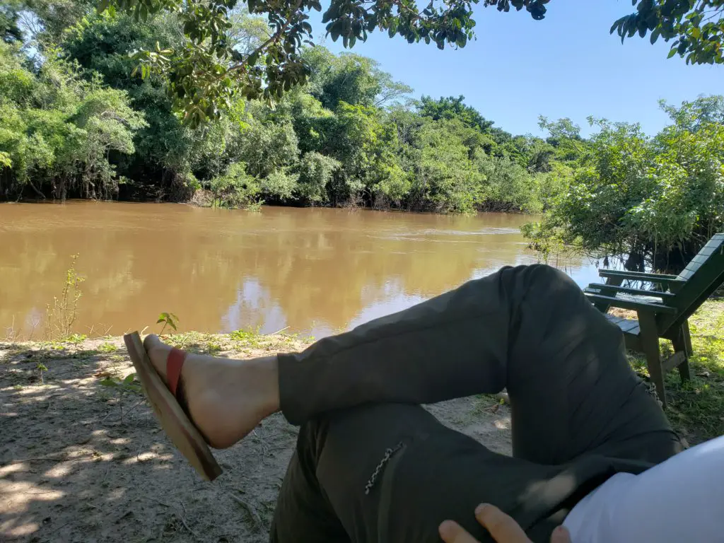 Lounging on the banks of the pampas