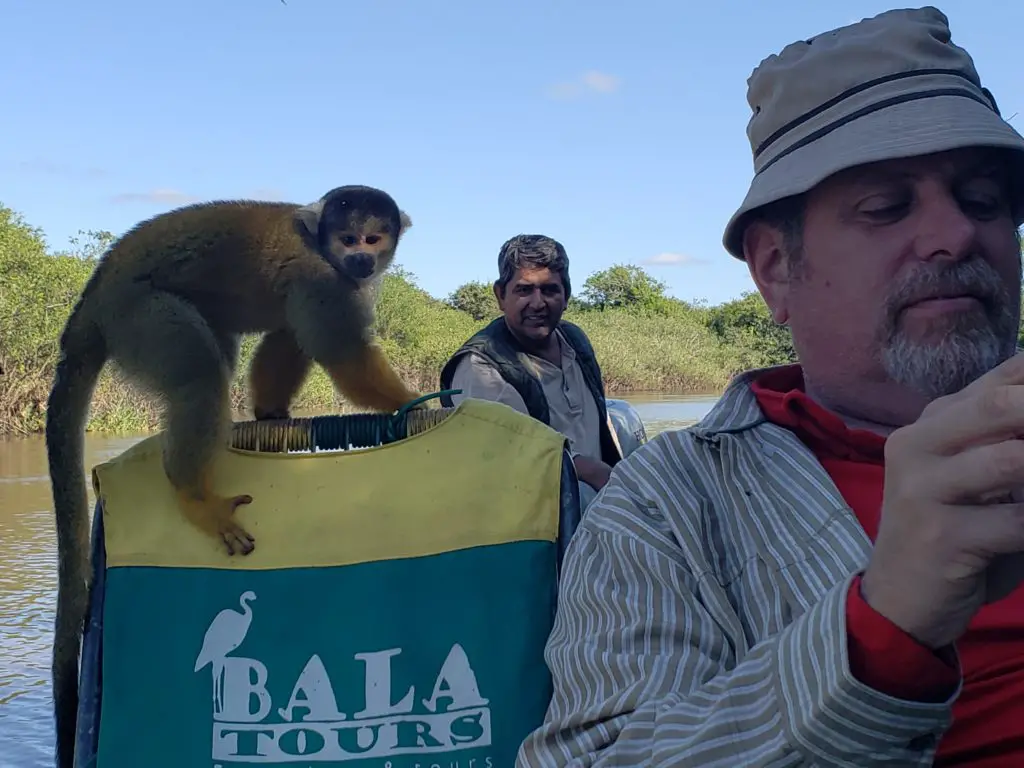 Monkeys, Macaws... and ANTS! oh my! - Amazon Rainforest Trekking Adventures 44 20190605 101903 1