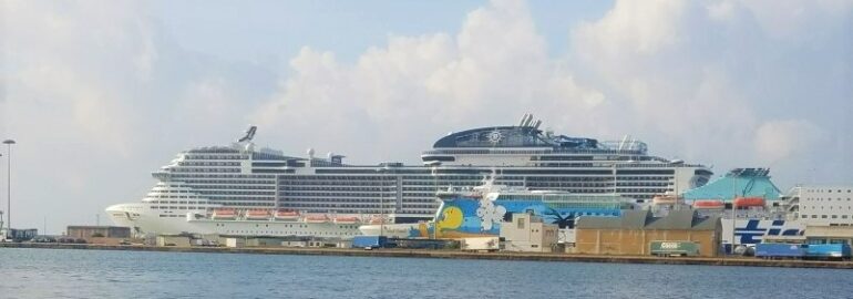 large cruise ship docked in port