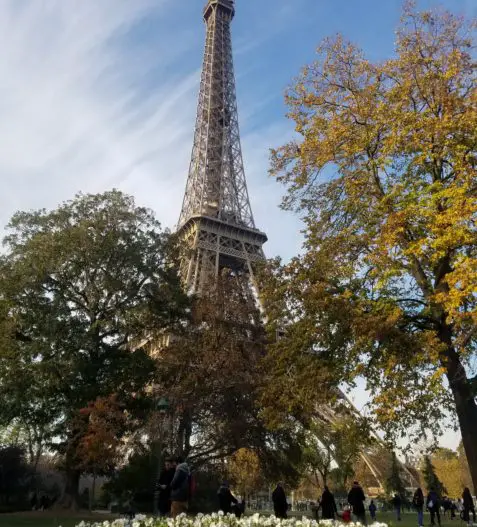 View of the Eiffel Tower in Paris