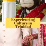 Learn about the customs and culture in Trinidad as we take a vacation to this southern Caribbean Island to prepare for and participate in a Hindu Wedding. Trinidad street food / Maracas Beach / travel to southern Caribbean / Hindu wedding / wedding preparations / what to wear in an Indian wedding / how to buy traditional Indian clothing for your first Hindu wedding / Travelling to Trinidad / Things to do in Trinidad / Trinidad vacation / #Trinidad # Hindu Wedding"