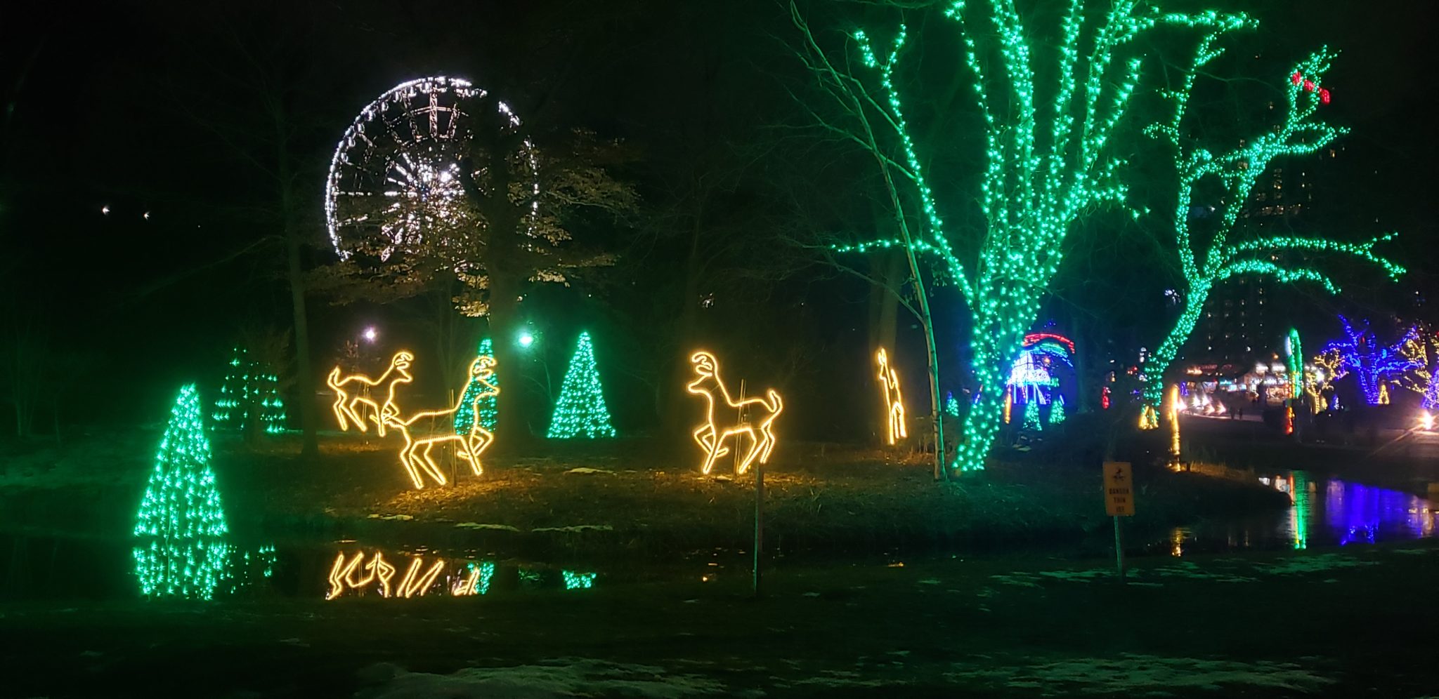 Niagara Falls Winter Festival of Lights Deer Pond