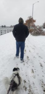 Puppy walking in the snow