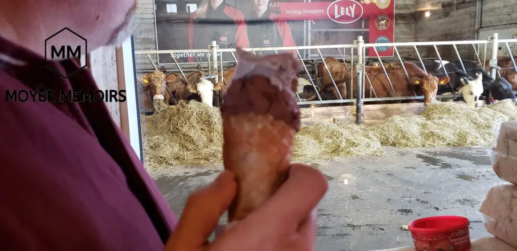 ice cream at Efsti-Dalur in Iceland