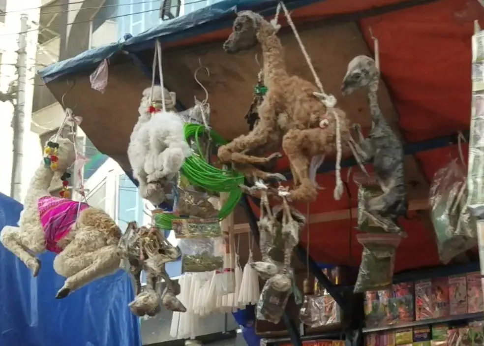 llamas hanging up for sale