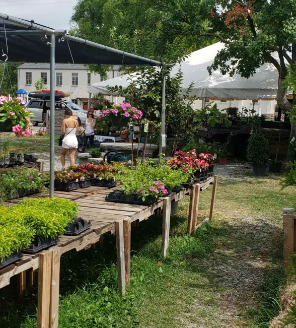 flowers at farmers market on 12 south in nashville