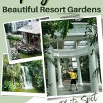 cute photos of Opryland Resort Gardens in Nashville