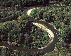 river running through trees