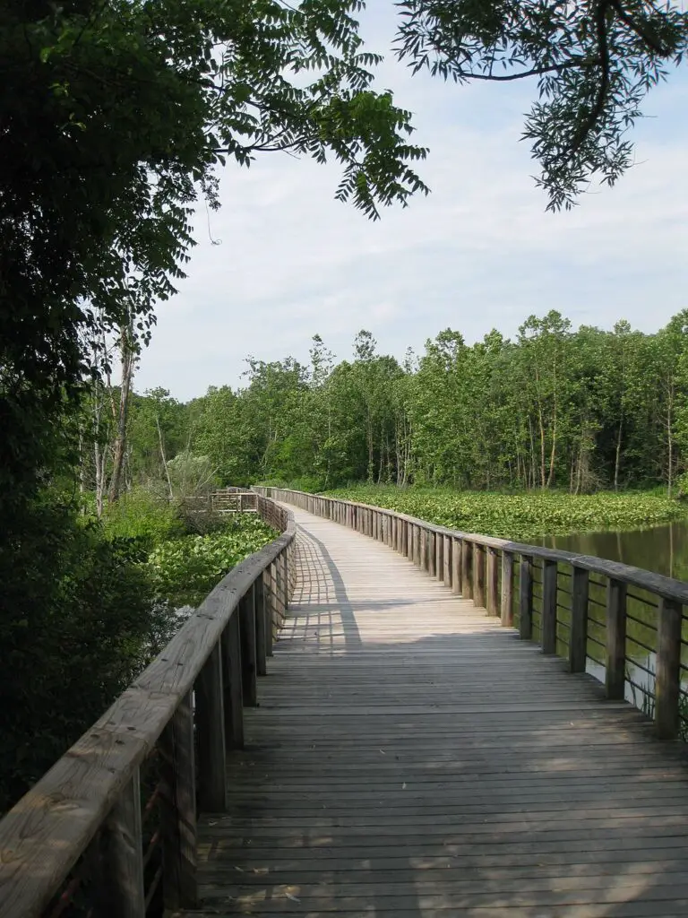 trail over beaver marsh at cuyahoga valley national park