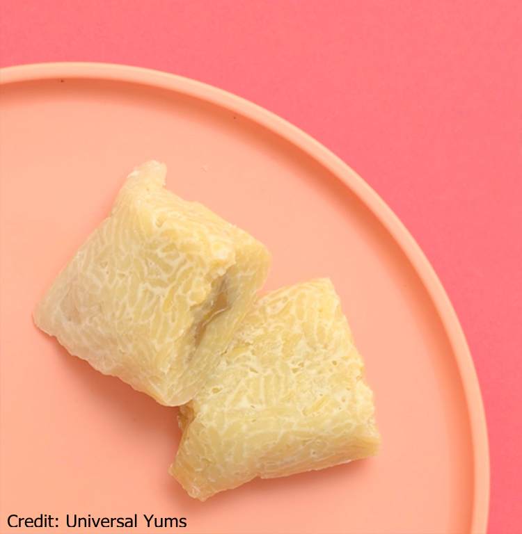 mango sticky rice on a plate