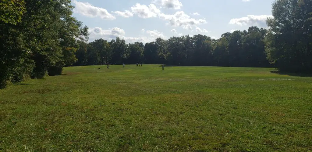 large open grassy area at the Ledges in Cuyahoga Valley National Park