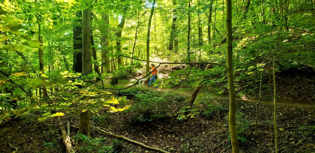 lady walking deep in the woods in cuyahoga valley national park