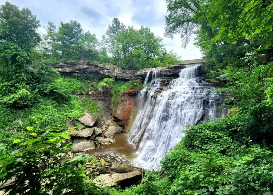 lush green trees and bushes surrounding a waterfall at Cuyahoga Valley national Park