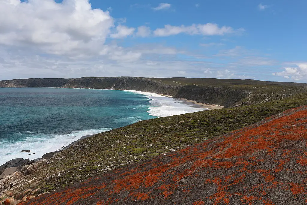 view of landscape in front of ocean