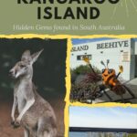 kangaroo sitting on the ground in Australia on Kangaroo Island
