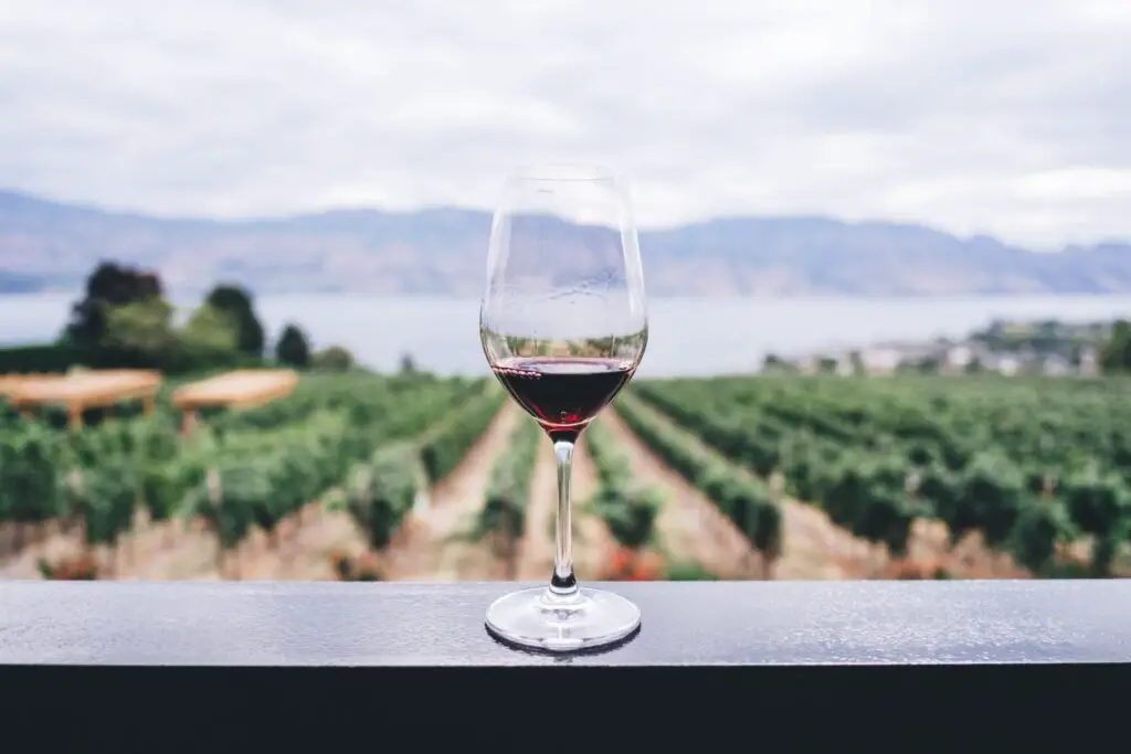 wine glass at a vineyard at a niagara falls winery in canada