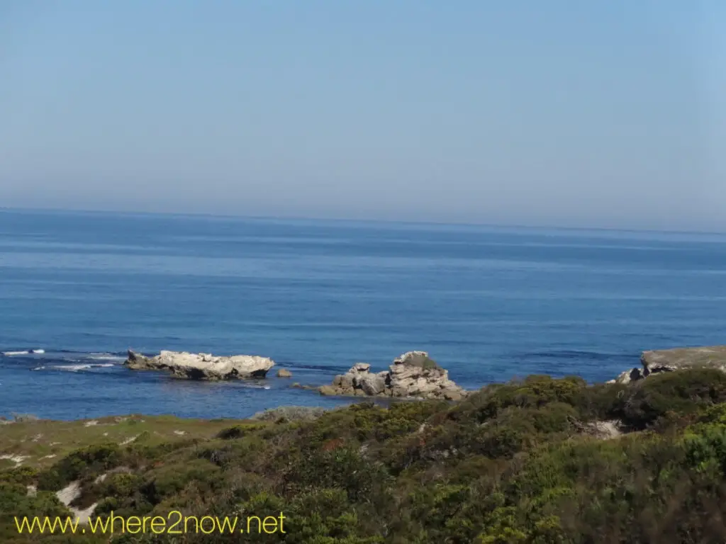 view of water and greenery