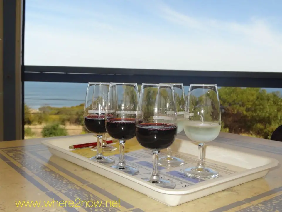 wine glasses on a tray in front of a window overlooking the water for a wine tour