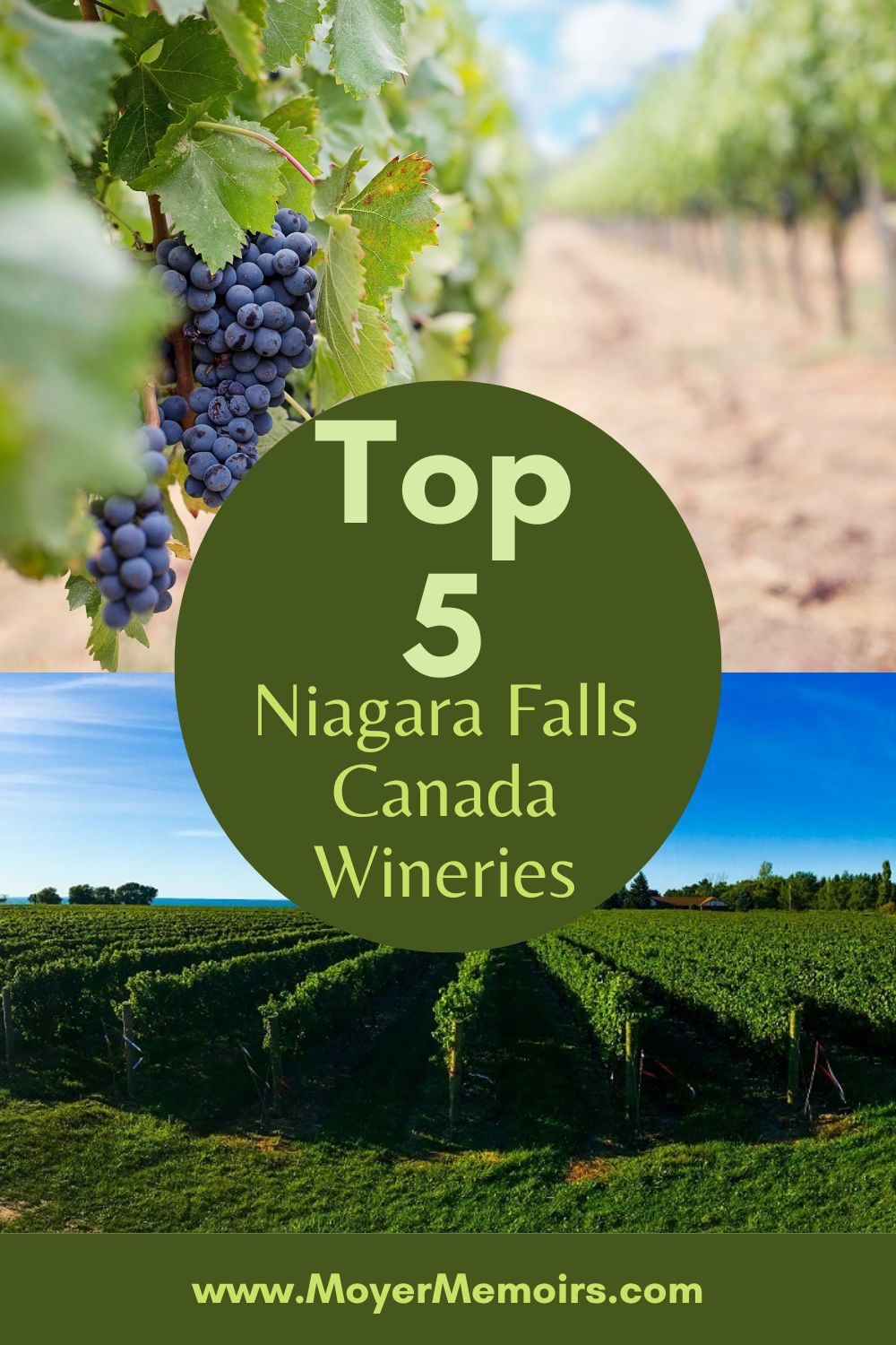 Top 5 AllAround Niagara Falls Canada Wineries Moyer Memoirs