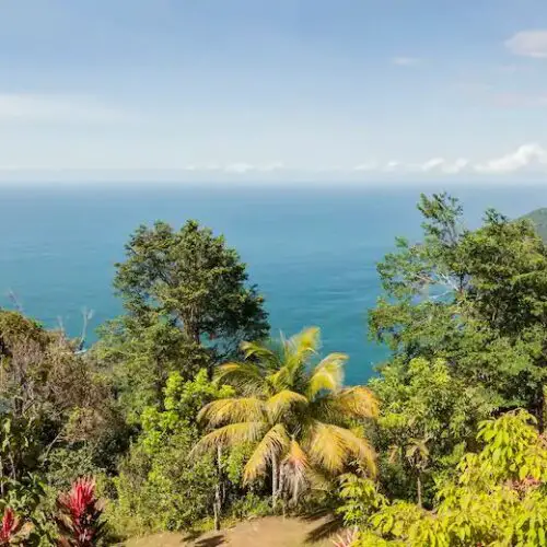 great view from the best hotels in Trinidad and Tobago