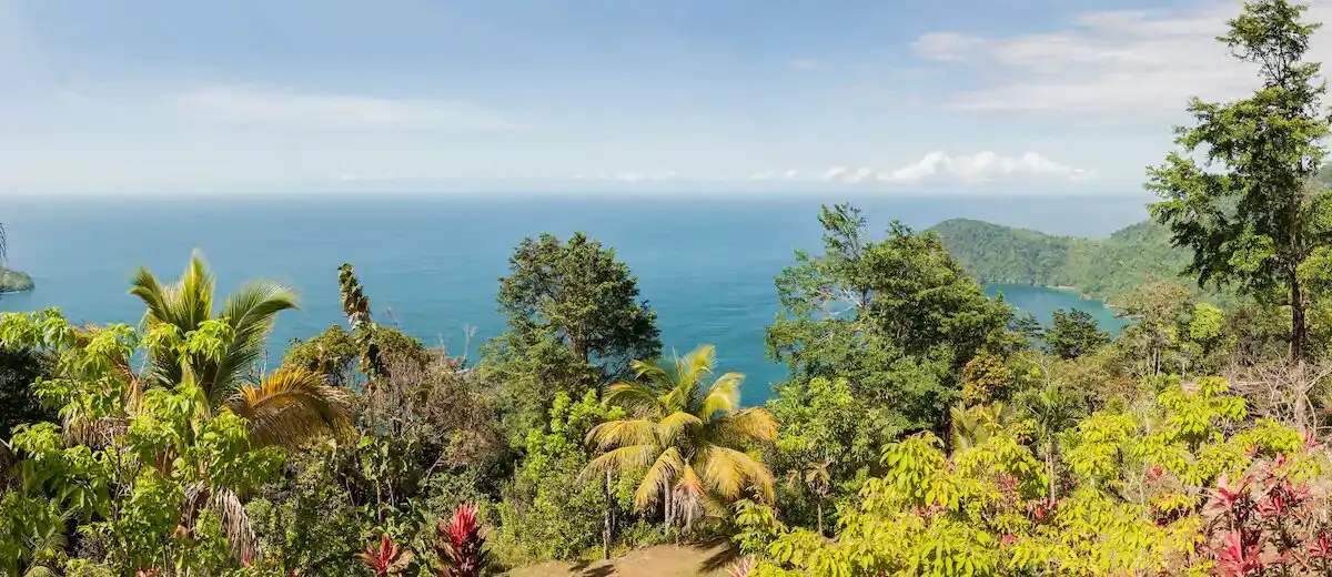 great view from the best hotels in Trinidad and Tobago