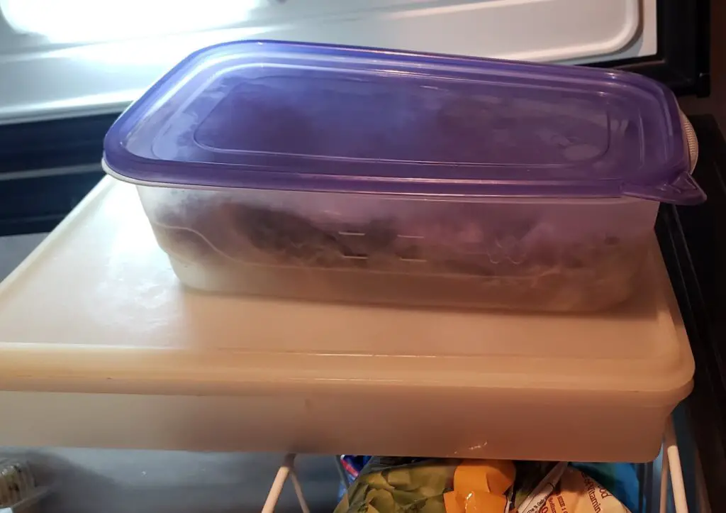 containers of food in the freezer