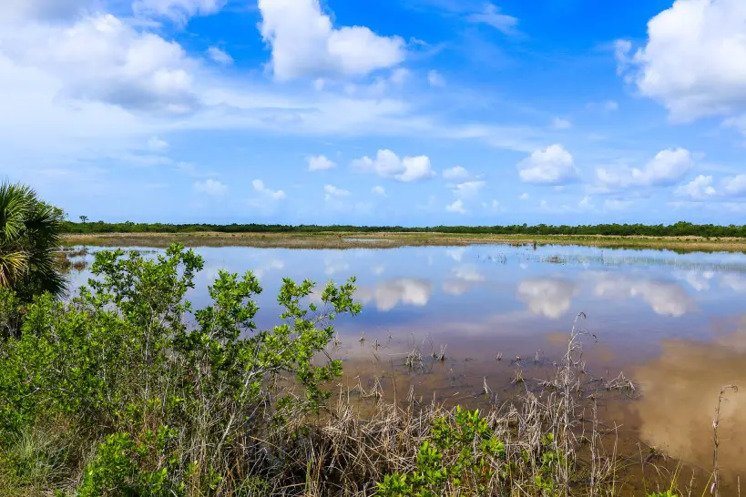 everglades view during a relaxing US vacation for empty-nesters