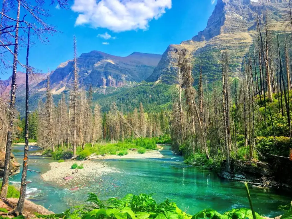 view of lake and forest at Glacier National Park on a US empty nest vacation