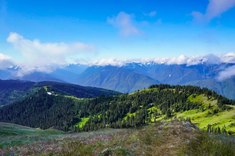 landscape and mountains at olympic-national-park US Vacation Idea for Empty Nesters