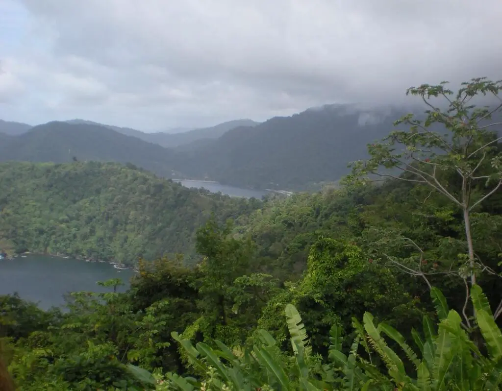 view of green landscape for tobago guest houses