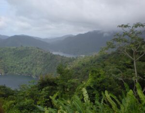 view of green landscape for tobago guest houses