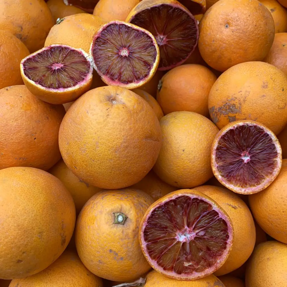 lots of oranges with red pulp - popular Palermo street market food