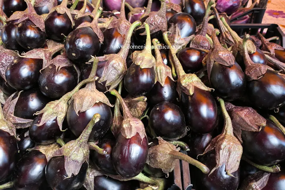 selection of Eggplant at the Palermo Market 