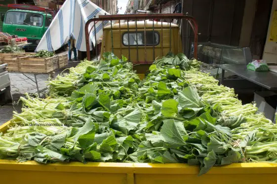 Truck full of Tenerumi at Palermo Market