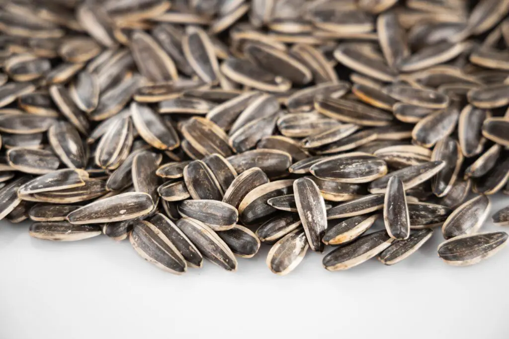 pile of sunflower seeds on a white table