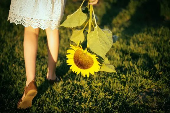 girl walking with a single sunflower