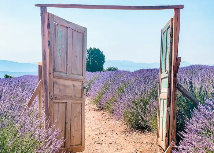 Door display open to lavender rows at the best flower field around the world in Turkey