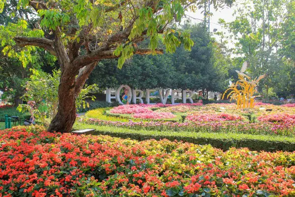 flower displays at the best flower festival in the world at Chiang Rai