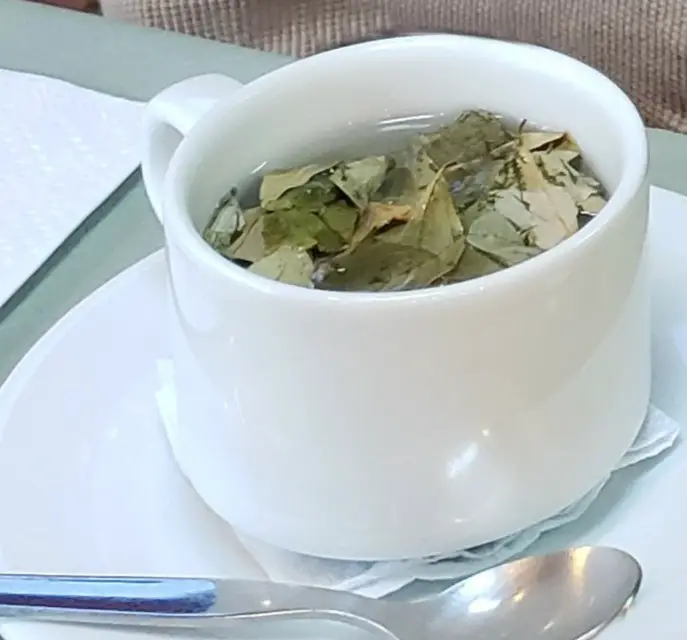 mug of tea leave -Coca Tea - Peruvian Drink at hotel in Ollantaytambo Peru