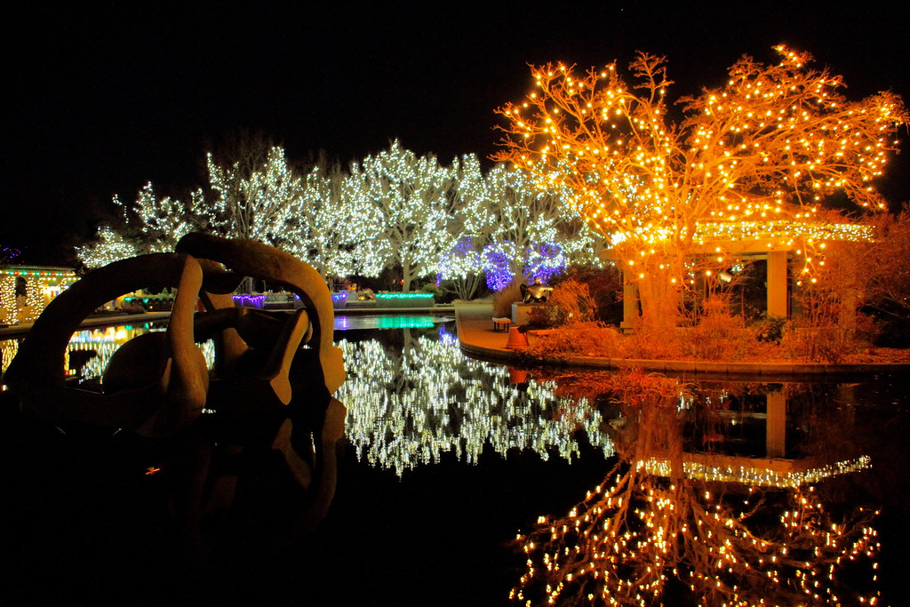 Holiday lights at the Denver Botanic Garden in winter