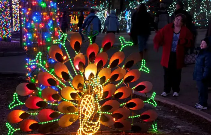 mom and child looking at holiday lights at denver zoo lights in wintertime