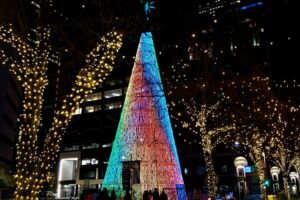 holiday decorations in denver in winter - mile high tree at 16th street mall in denver