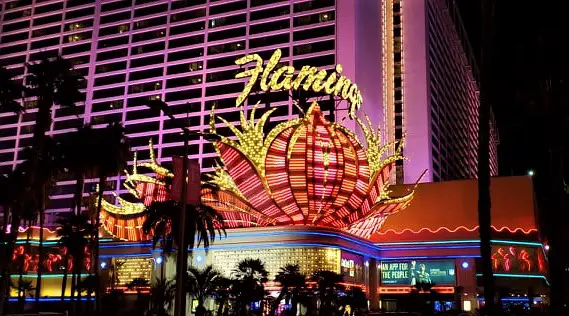 colorful neon lights at night at the Flamingo Hotel and Casino in Las Vegas
