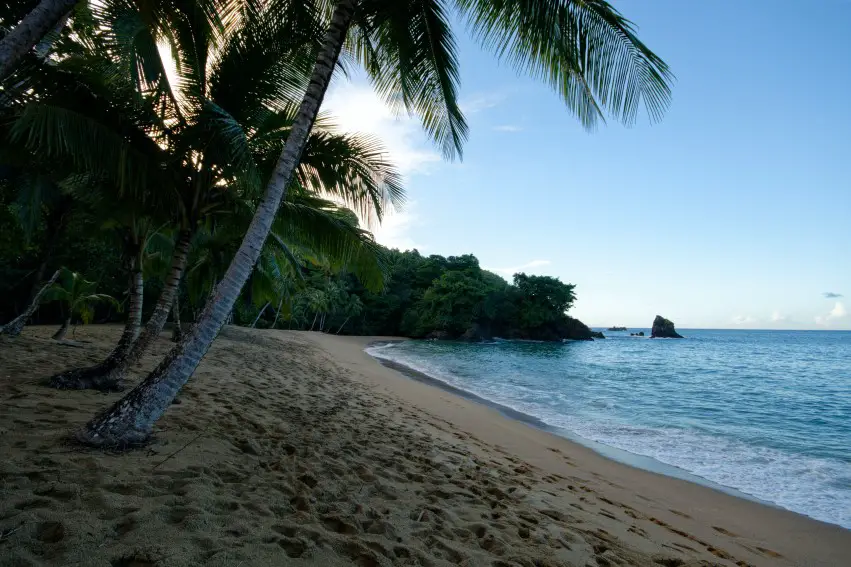 secluded beach in Tobago with sand and water