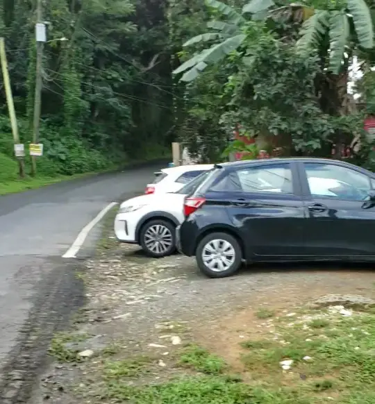 cars parked along with side of a small road with trees around them at the entrance to the natural slide in Puerto Rico