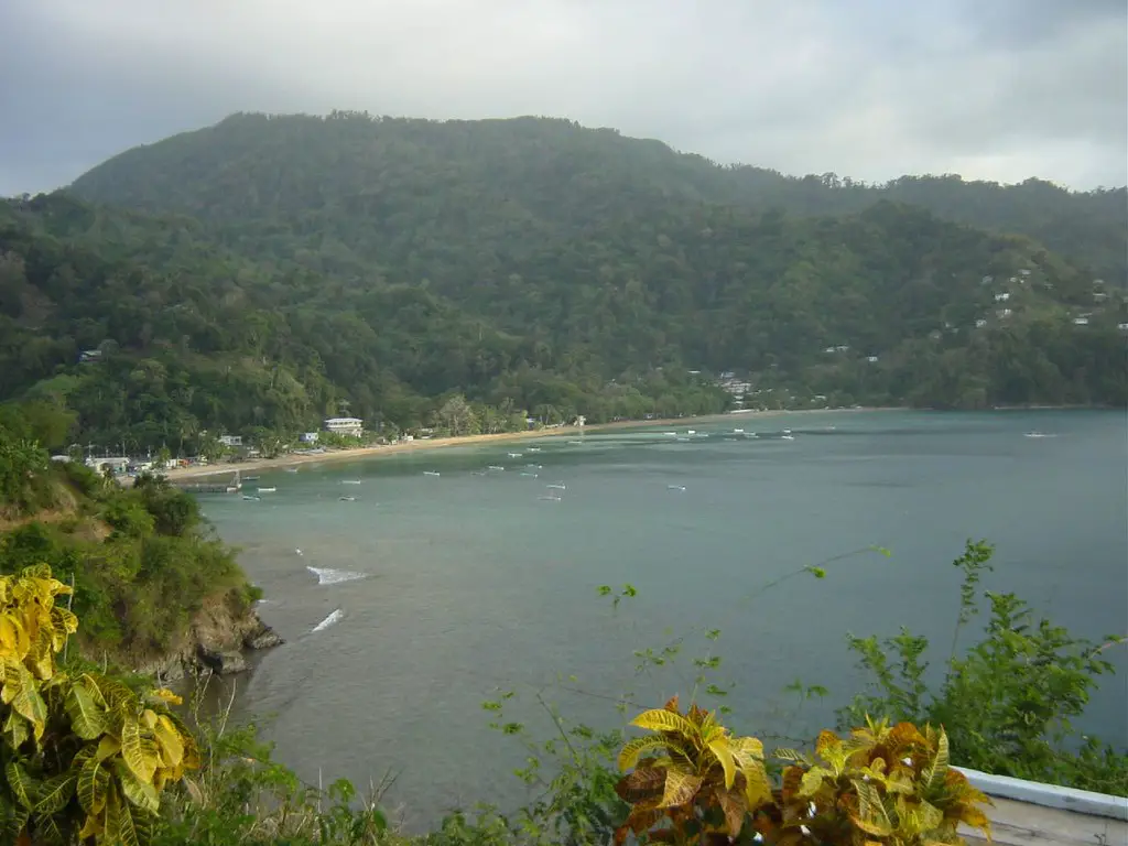 beach in tobago surrounded by clear caribbean waters