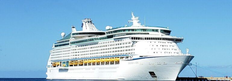 Getting sick on a cruise:  Surviving COVID on a Cruise ship! 20 Royal Caribbean Explorer of the Seas Docked in port